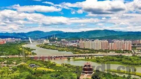 2828大象传媒-2828大象传媒，重塑数字时代的信息传播格局