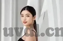 大象传媒国产在线观看-探索大象传媒的国产影视魅力，在线观看的独特体验
