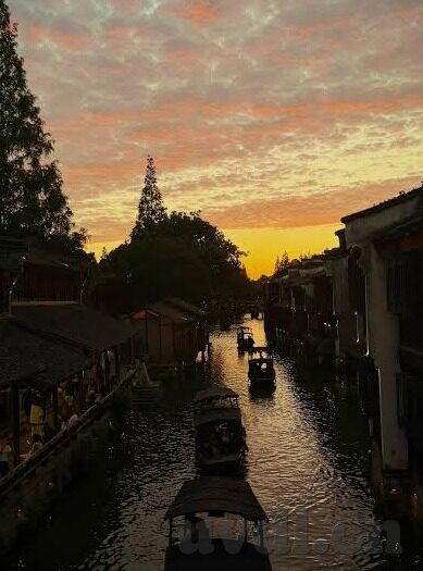 麻豆 91 在线-网络风景的另一面，麻豆91在线的深度探求