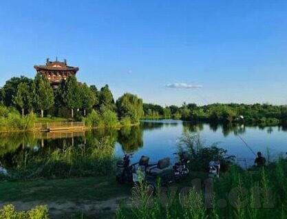 免费在线观看伦理片-免费在线观看伦理片，道德边界与网络伦理的微妙平衡